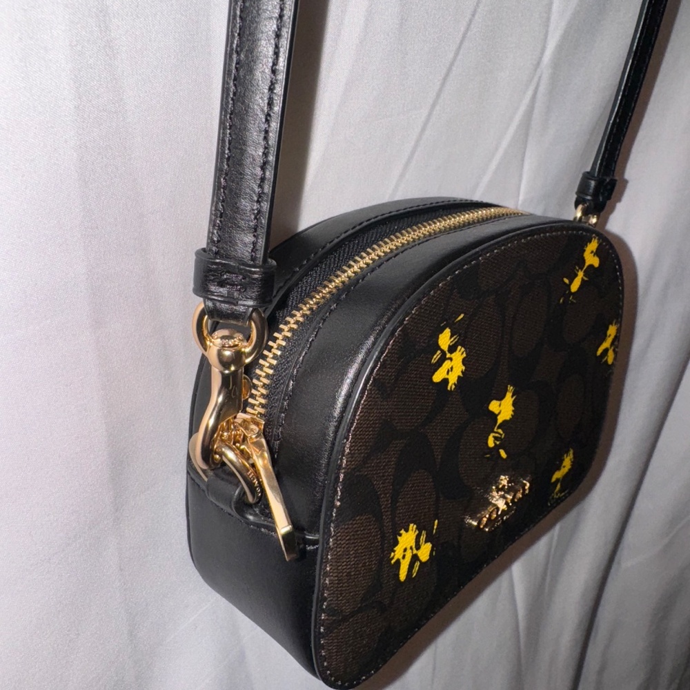 Coach x Snoopy - Picture 2 of 3